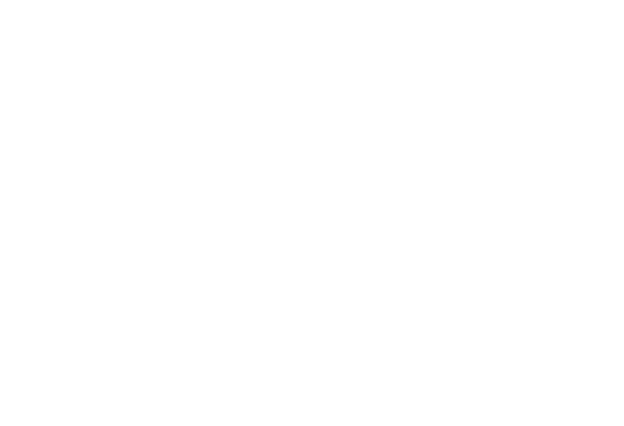 VOIDFORGE AUDIO